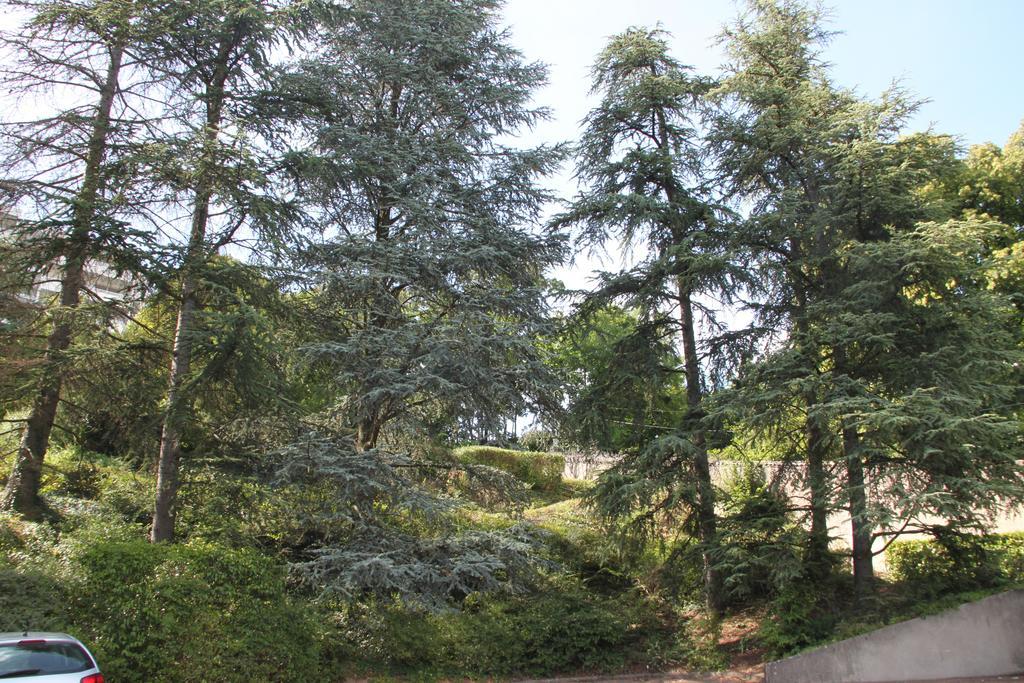 Sainte-Foy-lès-Lyon Les Hauts De Perrache B&B 외부 사진